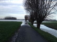 15181137_10102027213874310_2065382847656834826_n