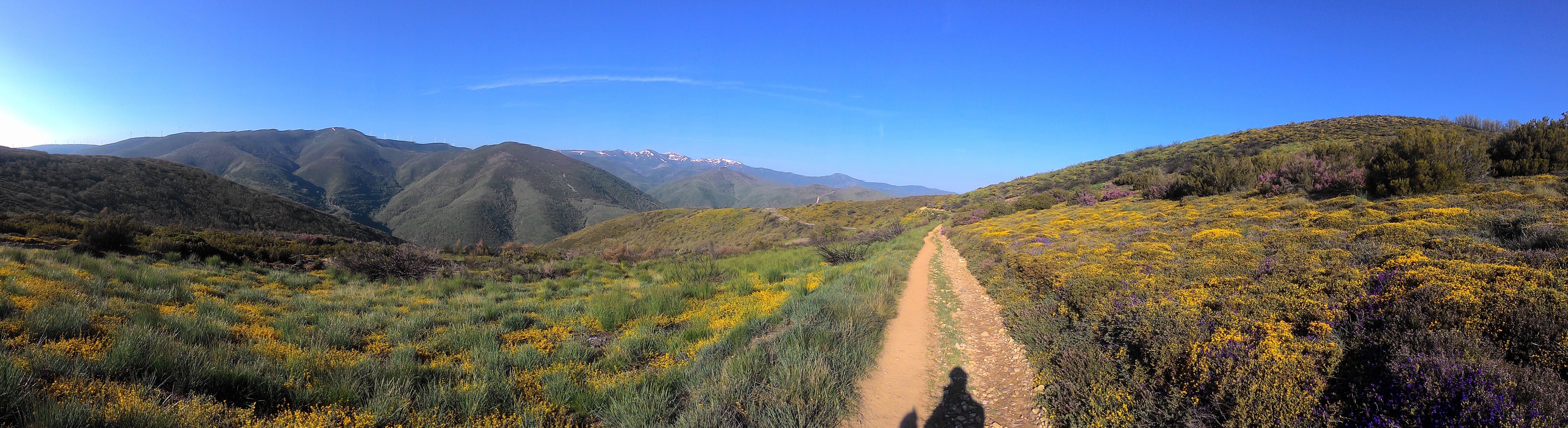 P_20180522_092156_PN